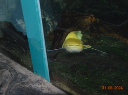 Voyage 2024 Centre Eden de Cuisery