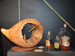 Voyage 2024 Centre Eden de Cuisery