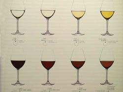 Voyage 2025 Cité des Climats