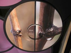 Voyage 2025 Cité des Climats