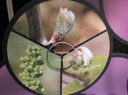 Voyage 2025 Cité des Climats