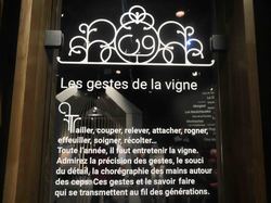 Voyage 2025 Cité des Climats