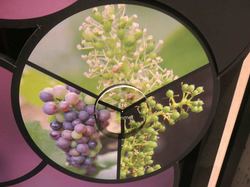 Voyage 2025 Cité des Climats