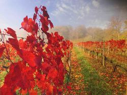 Voyage 2025 Cité des Climats