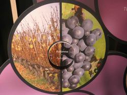 Voyage 2025 Cité des Climats