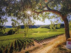 Voyage 2025 Cité des Climats