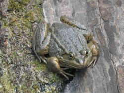 Voyage 2025 Restaurant L'Ô à la Bouche