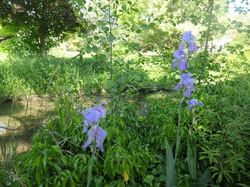 Voyage 2025 Restaurant L'Ô à la Bouche