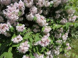 Voyage 2025 Restaurant L'Ô à la Bouche