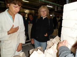 Voyage annuel 2016 Charolais