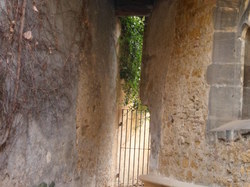 Voyage annuel 2016 Charolais