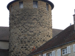 Voyage annuel 2016 Charolais