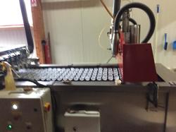 Voyage annuel 2017 Roannais