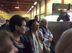 Voyage annuel 2017 Roannais