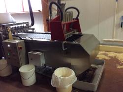 Voyage annuel 2017 Roannais