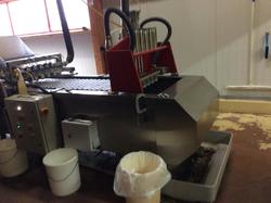 Voyage annuel 2017 Roannais