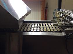 Voyage annuel 2017 Roannais