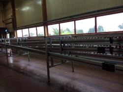 Voyage annuel 2017 Roannais