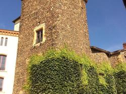 Voyage annuel 2017 Roannais