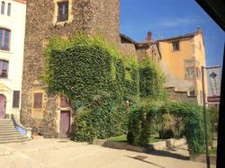 Voyage annuel 2017 Roannais