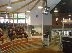 vVoyage annuel 2014 Brionnais