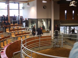 vVoyage annuel 2014 Brionnais