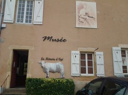 vVoyage annuel 2014 Brionnais