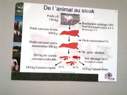 vVoyage annuel 2014 Brionnais